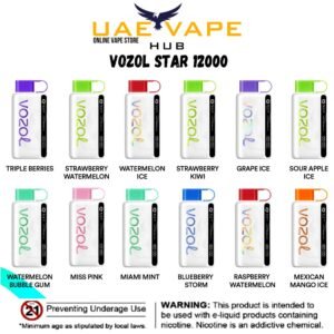 Vozol Star 12000 Puffs Disposable Vape | uae vape hub